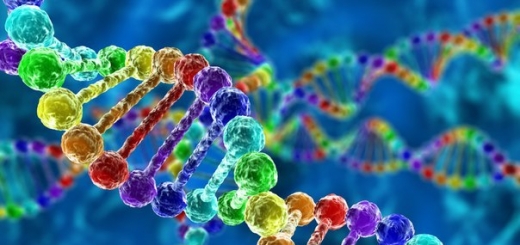 Человеческий геном предложили переписать «с нуля»