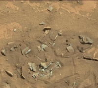 Бедренная кость на Марсе на самом деле еще один камень