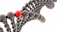 О влиянии наночастиц на человеческую ДНК