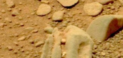 NASA выложило снимок с Красной планеты, на котором присутствует объект, похожий на череп доисторического существа. Фото сделал марсоход Curiosity.