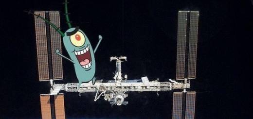 Появились сообщения о том, что на МКС обнаружен планктон