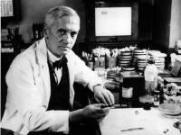 6 августа 1881 года родился Александр Флеминг — британский учёный-бактериолог, Нобелевский лауреат