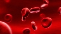 Великобритания начнёт клинические испытания искусственной крови уже в 2017 году