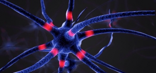 Учёные нашли новый способ борьбы с нейродегенеративными заболеваниями