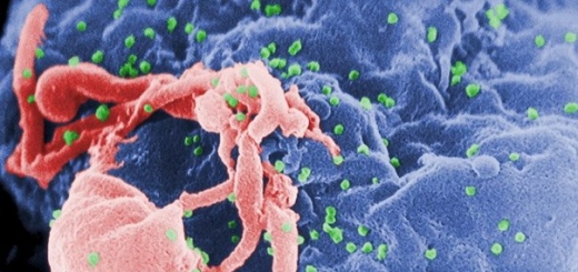 Научный прорыв: Испанским исследователям удалось заблокировать размножение вируса СПИДа