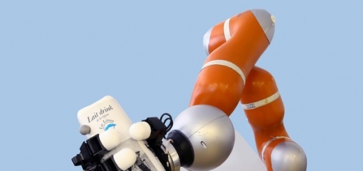 Робот-рука – чудо швейцарской техники, обладает мгновенной реакцией: он хватает на лету летящие предметы со сложными формами и траекториями меньше чем за 1/500 долю секунды. Эксперты собираются с его помощью очистить земную орбиту от мусора.